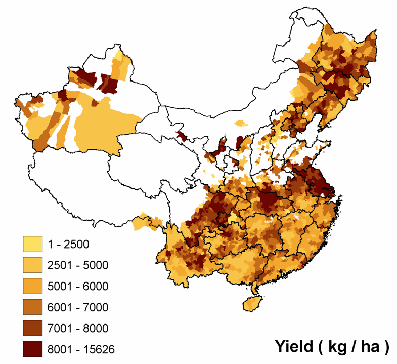 rice-yield.png