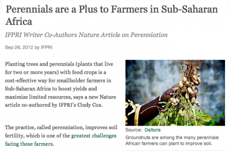 perennials.png